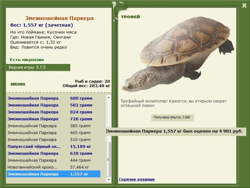 Змеиношейная Паркера 