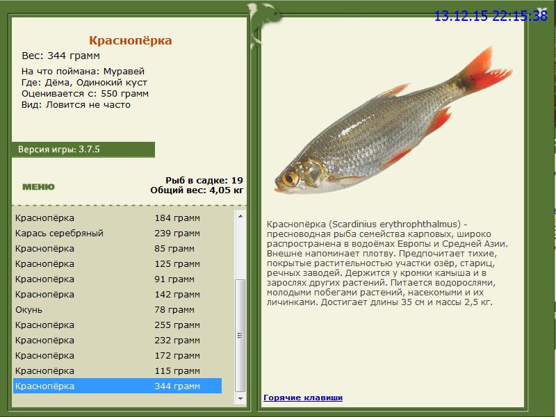 РУССКАЯ РЫБАЛКА Installsoft Edition 