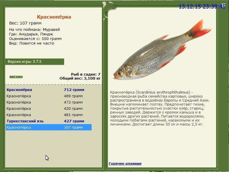 РУССКАЯ РЫБАЛКА Installsoft Edition 
