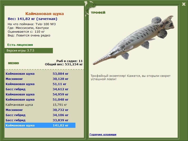 Кентуки 