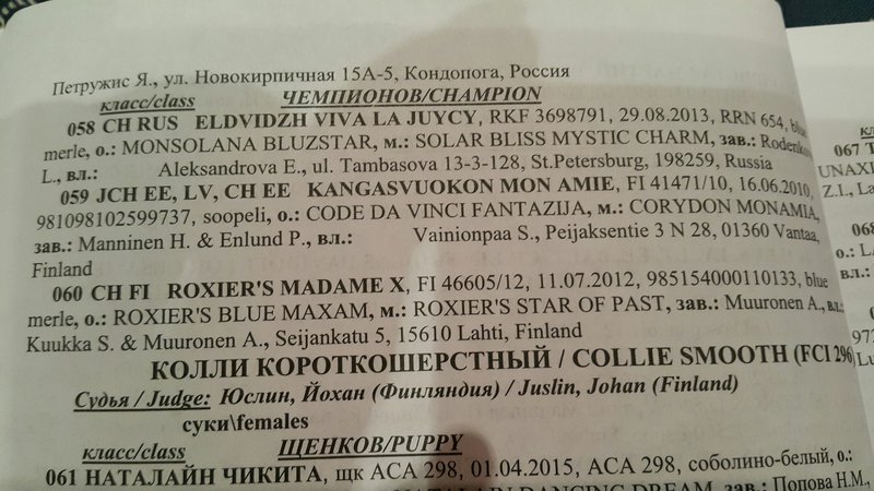 ФОРУМ ЛЮБИТЕЛЕЙ КОЛЛИ И ШЕЛТИ 