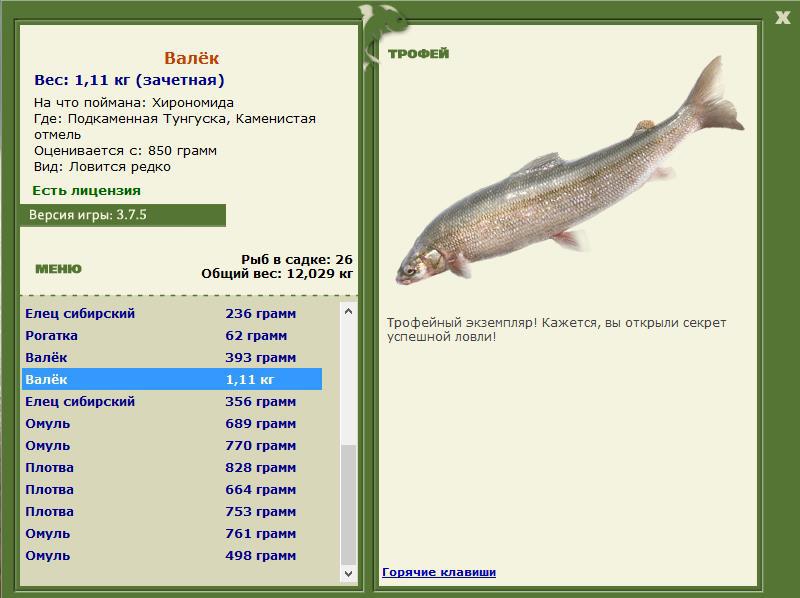Каменистая отмель 