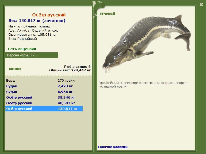 РУССКАЯ РЫБАЛКА Installsoft Edition 