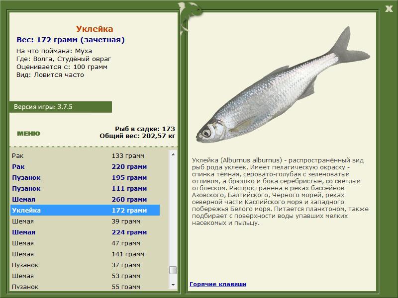 РУССКАЯ РЫБАЛКА Installsoft Edition 