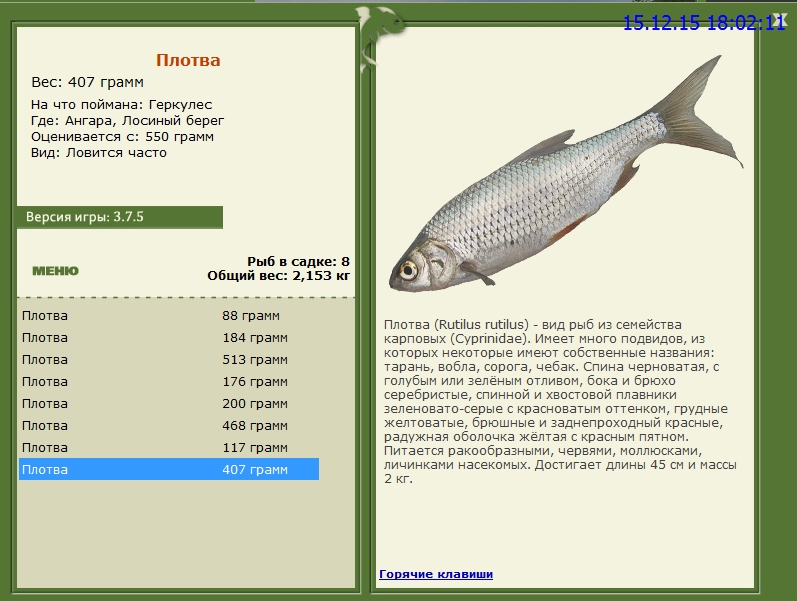 РУССКАЯ РЫБАЛКА Installsoft Edition 