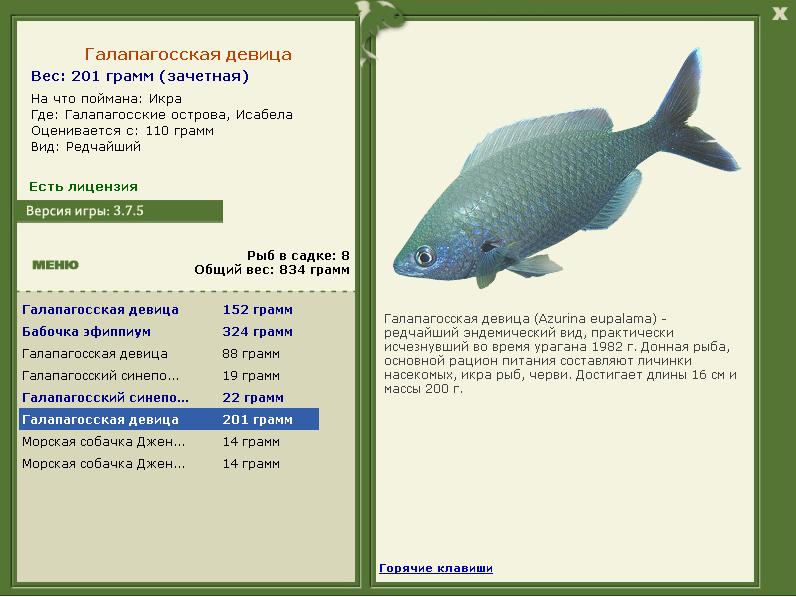 Исабела 