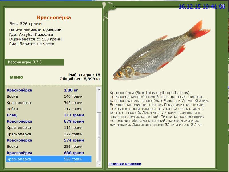 РУССКАЯ РЫБАЛКА Installsoft Edition 