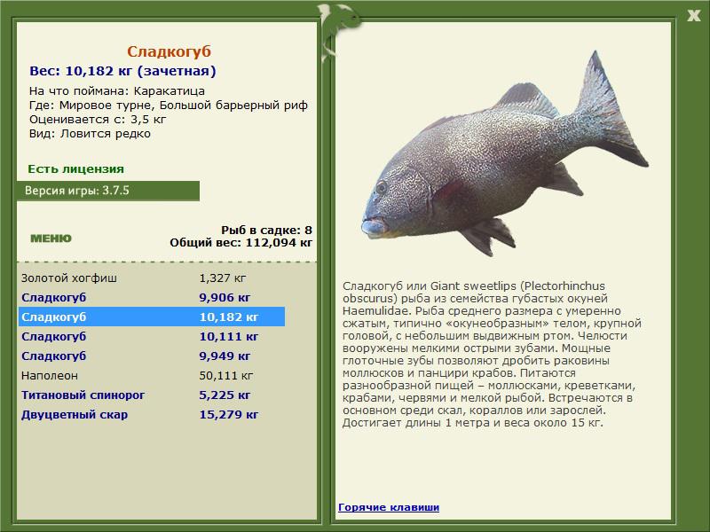 Большой барьерный риф 