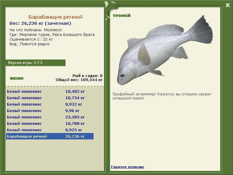 Барабанщик речной 