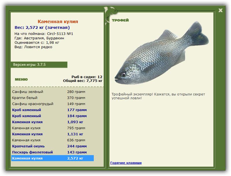 Каменная кулия 
