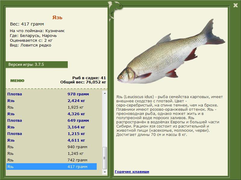 турниры • РУССКАЯ РЫБАЛКА