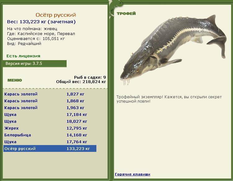 турниры • РУССКАЯ РЫБАЛКА