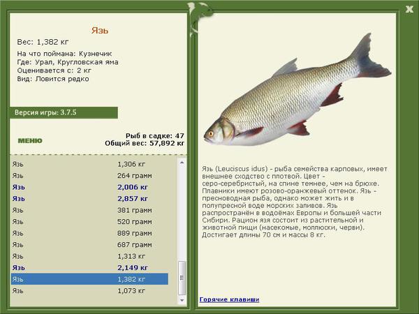 РУССКАЯ РЫБАЛКА Installsoft Edition 
