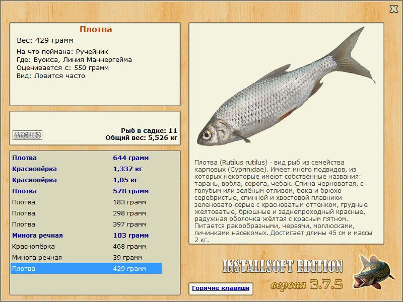 Линия Маннергейма 