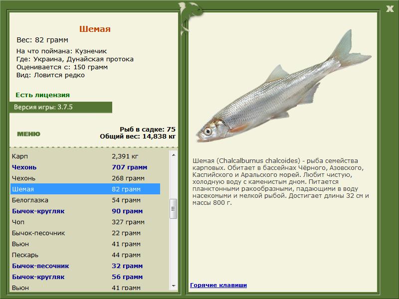 РУССКАЯ РЫБАЛКА Installsoft Edition 