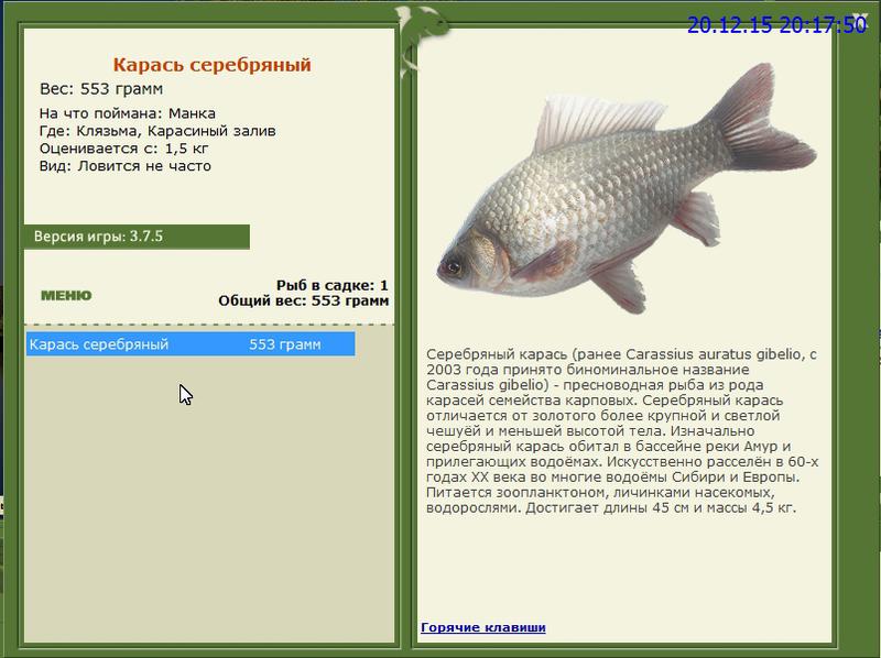 РУССКАЯ РЫБАЛКА Installsoft Edition 