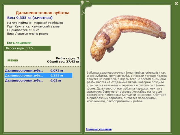 Камчатский залив 