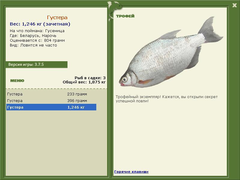 РУССКАЯ РЫБАЛКА Installsoft Edition 