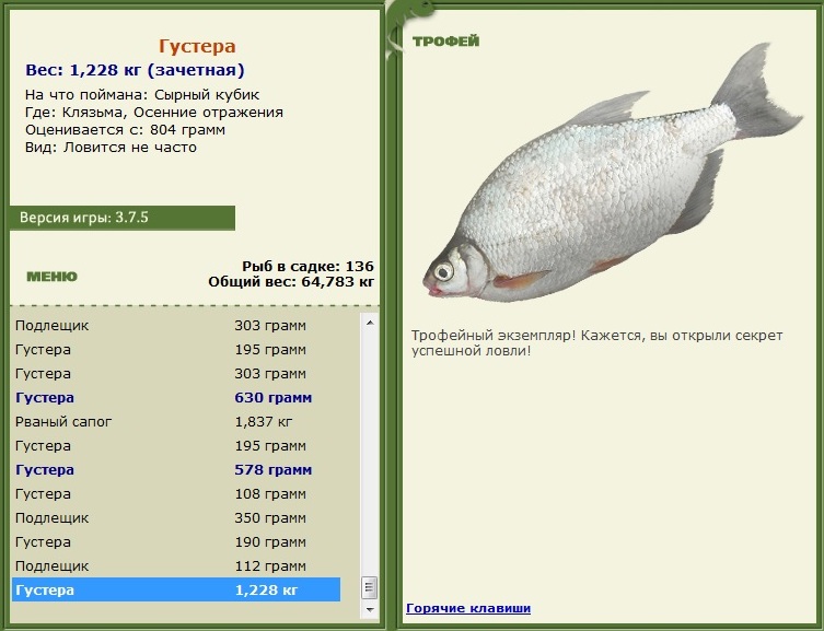 Сырный кубик 