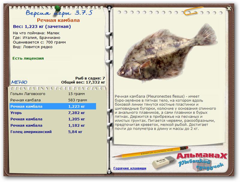Браччиано 