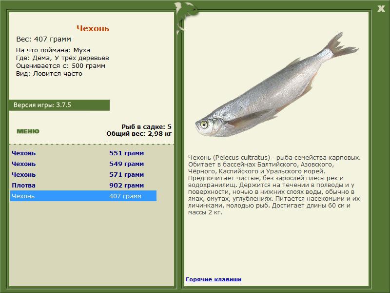 турниры • РУССКАЯ РЫБАЛКА