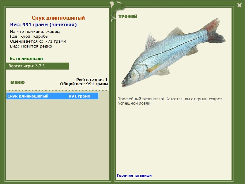 Снук длинношипый 