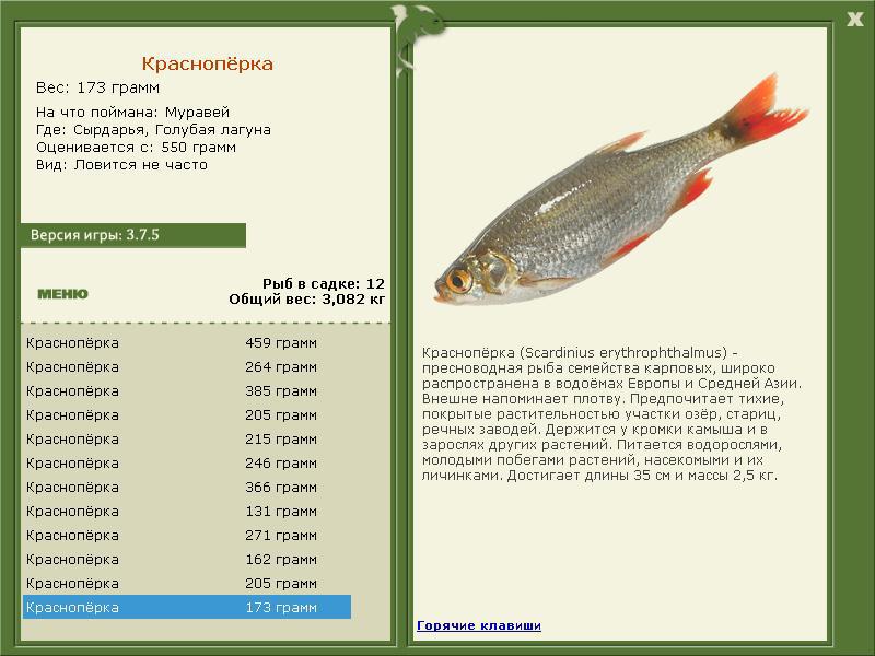 турниры • РУССКАЯ РЫБАЛКА