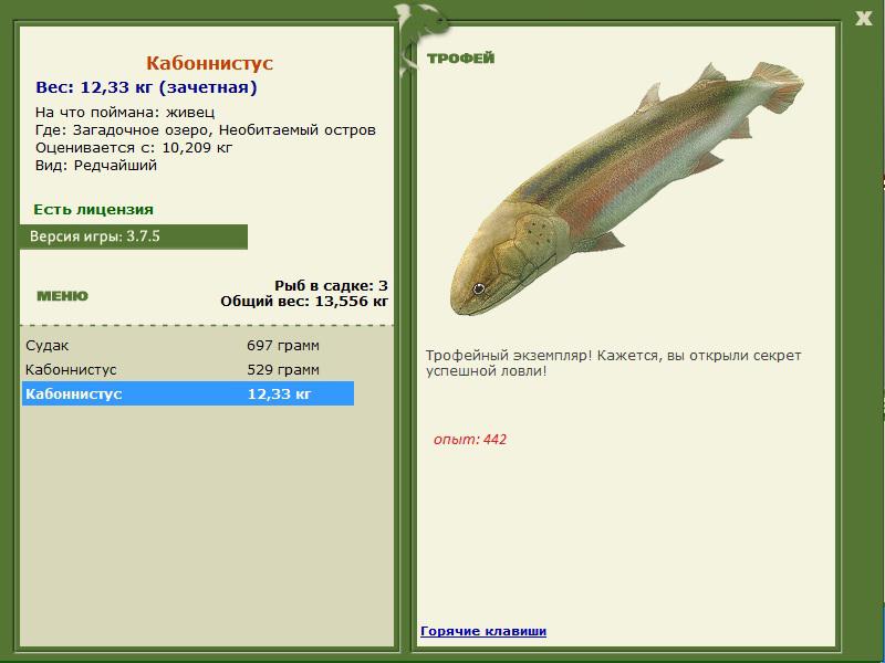 Необитаемый остров 