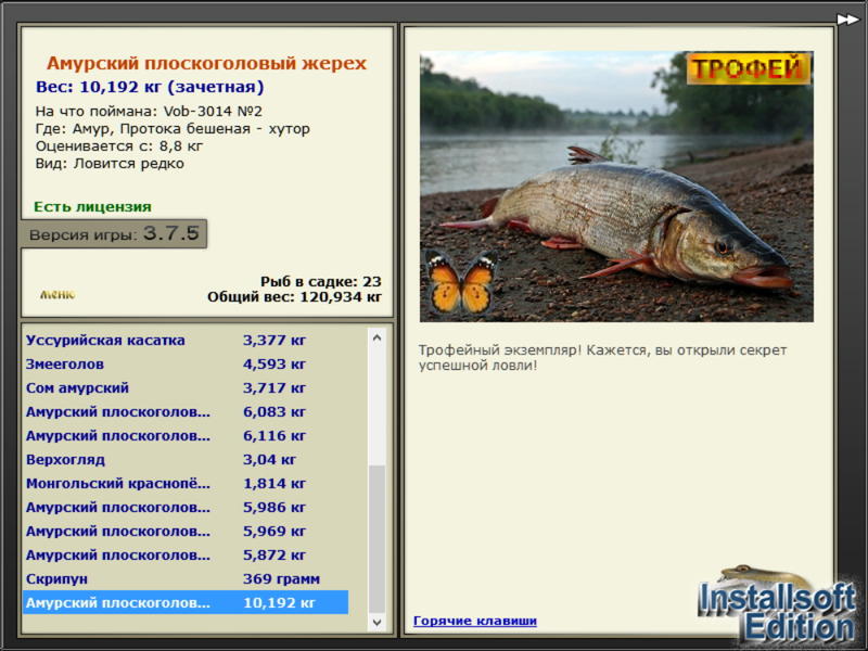 Амурский плоскоголовый жерех 