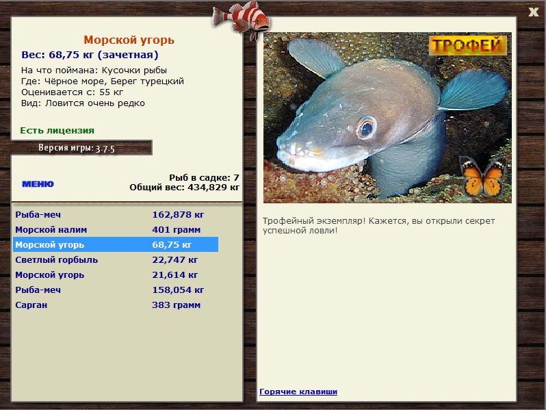 Кусочки рыбы 