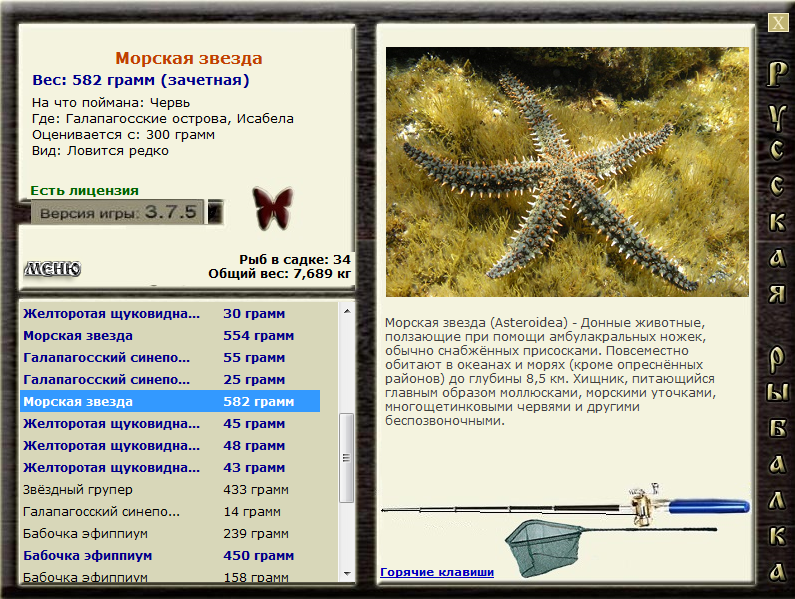 Исабела 
