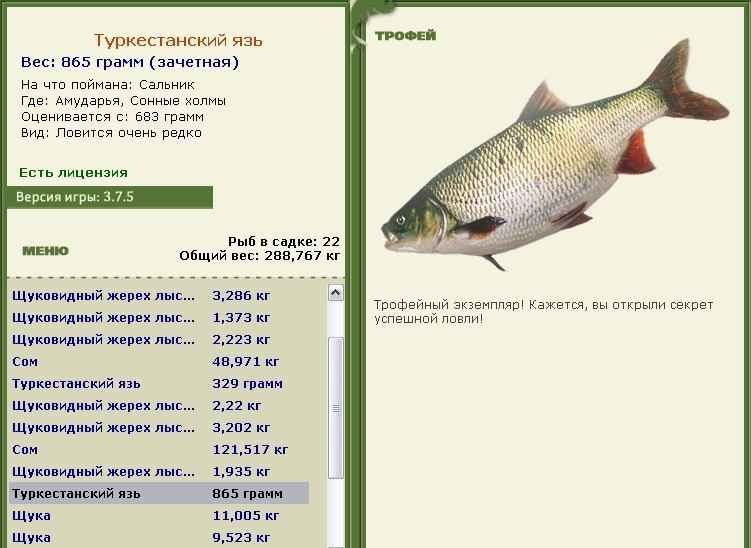 Туркестанский язь 