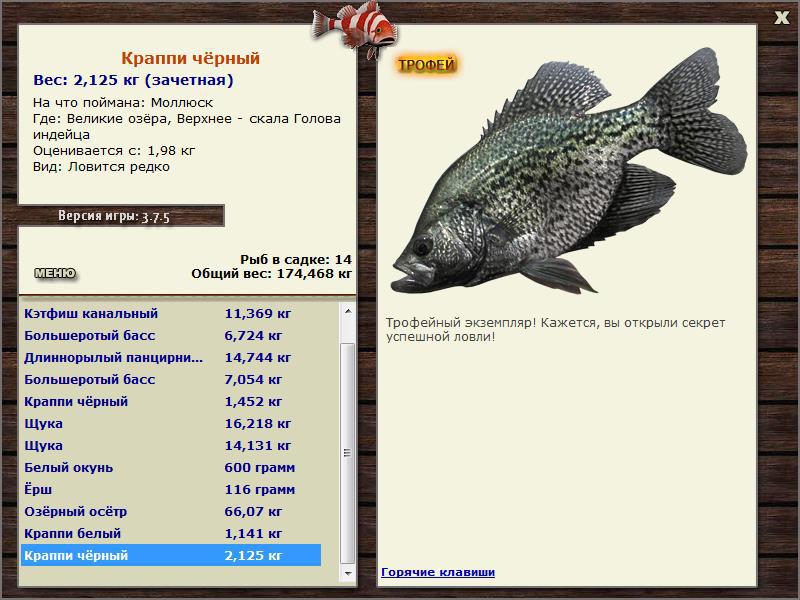 Краппи чёрный 