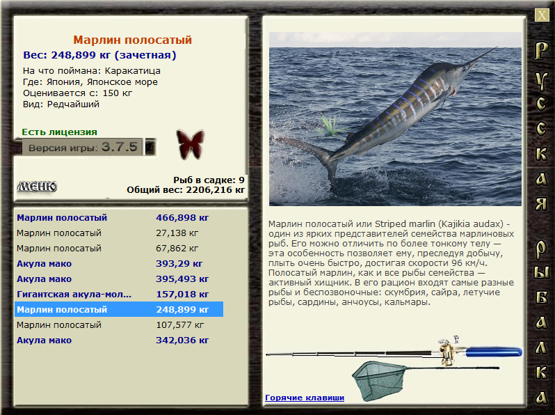 Японское море 