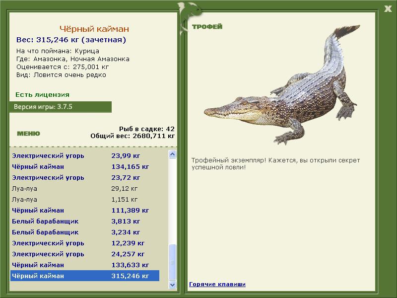 Чёрный кайман 