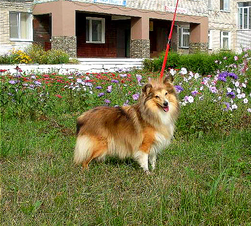  Здравствуйте мы из Казани!