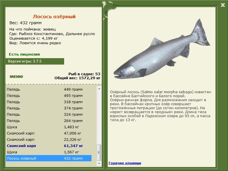 РУССКАЯ РЫБАЛКА Installsoft Edition 