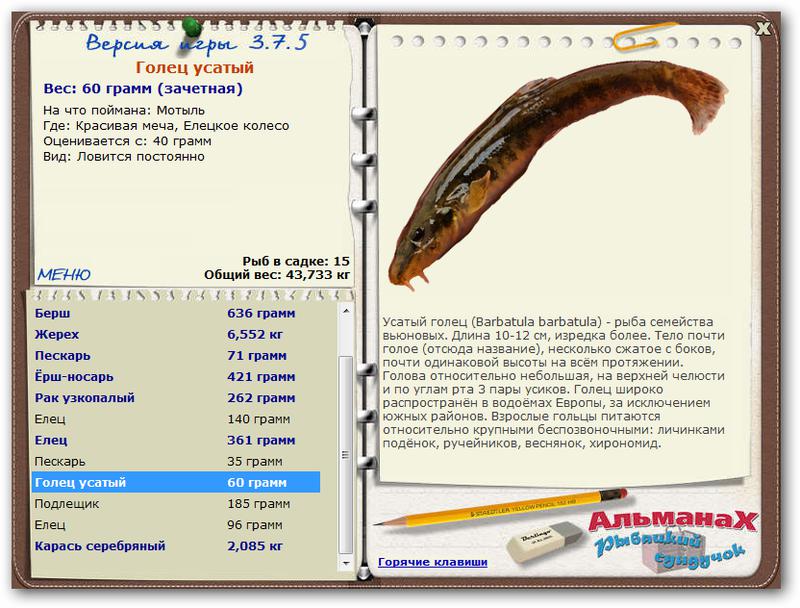 Красивая меча 