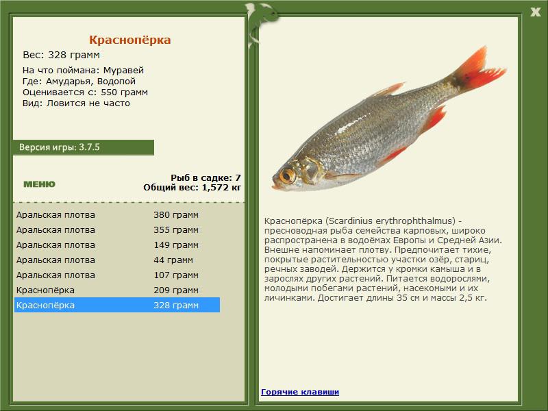 турниры • РУССКАЯ РЫБАЛКА