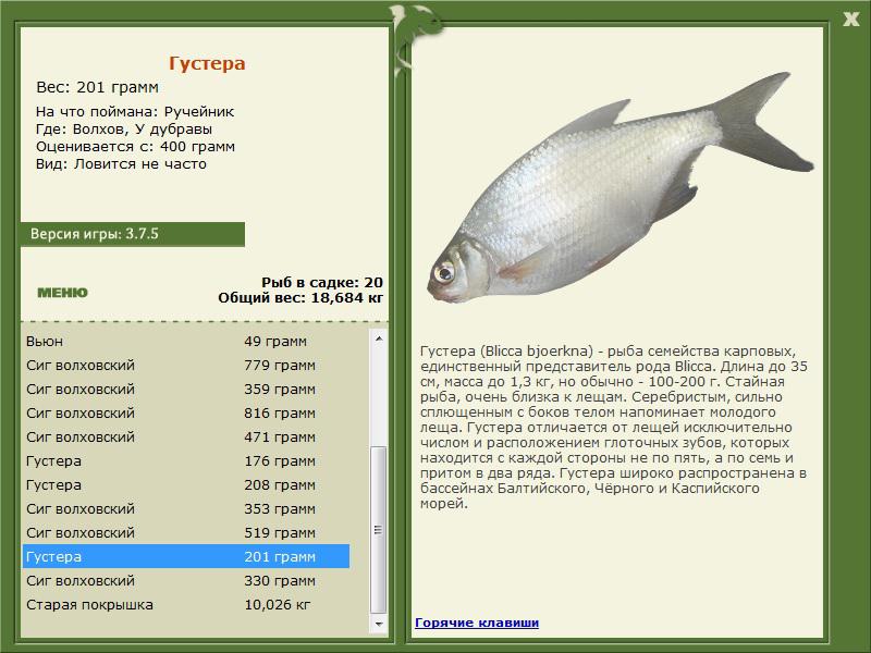 РУССКАЯ РЫБАЛКА Installsoft Edition 