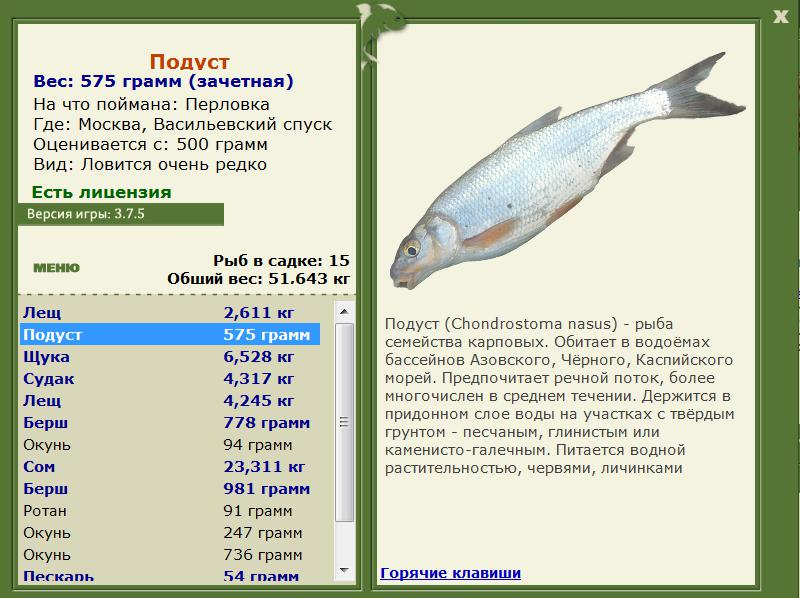 РУССКАЯ РЫБАЛКА Installsoft Edition 