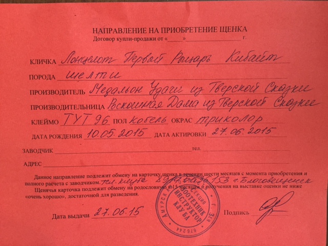 ФОРУМ ЛЮБИТЕЛЕЙ КОЛЛИ И ШЕЛТИ 