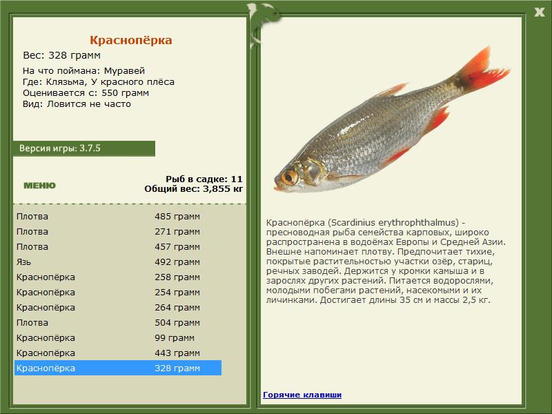 турниры • РУССКАЯ РЫБАЛКА