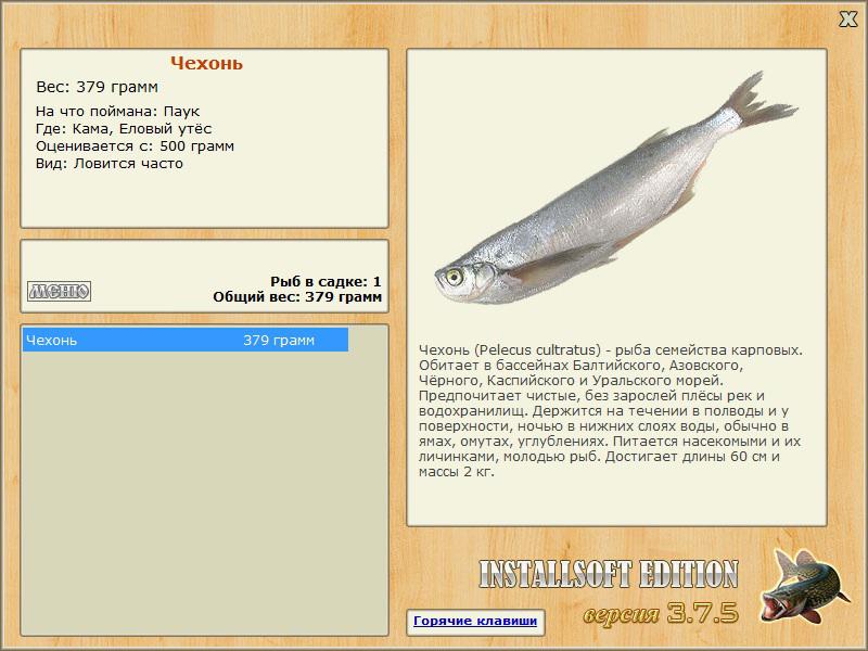 Еловый утёс 
