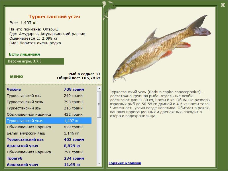 РУССКАЯ РЫБАЛКА Installsoft Edition 
