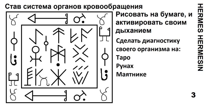  Став Система органов кровообращения 3 145133285526493826