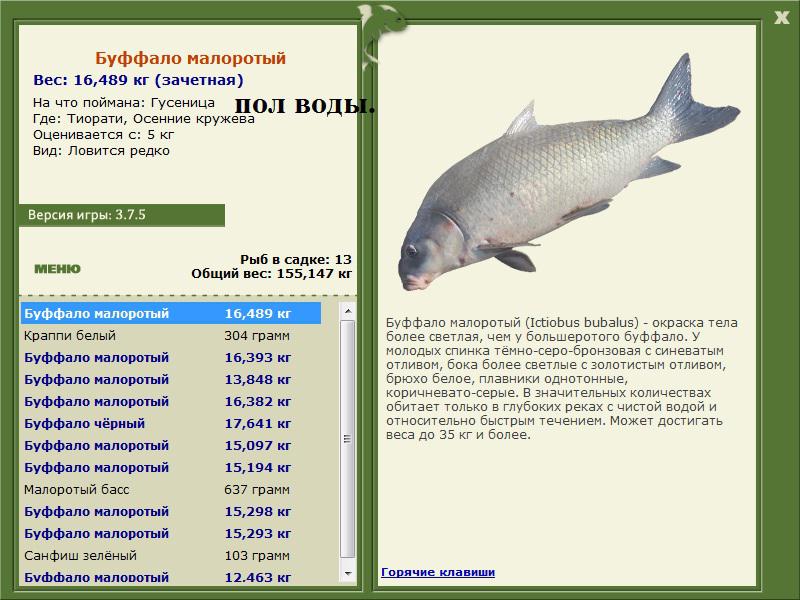 Осенние кружева 