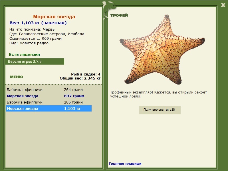 Морская звезда 