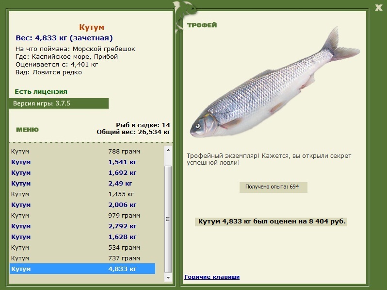 Кутум 