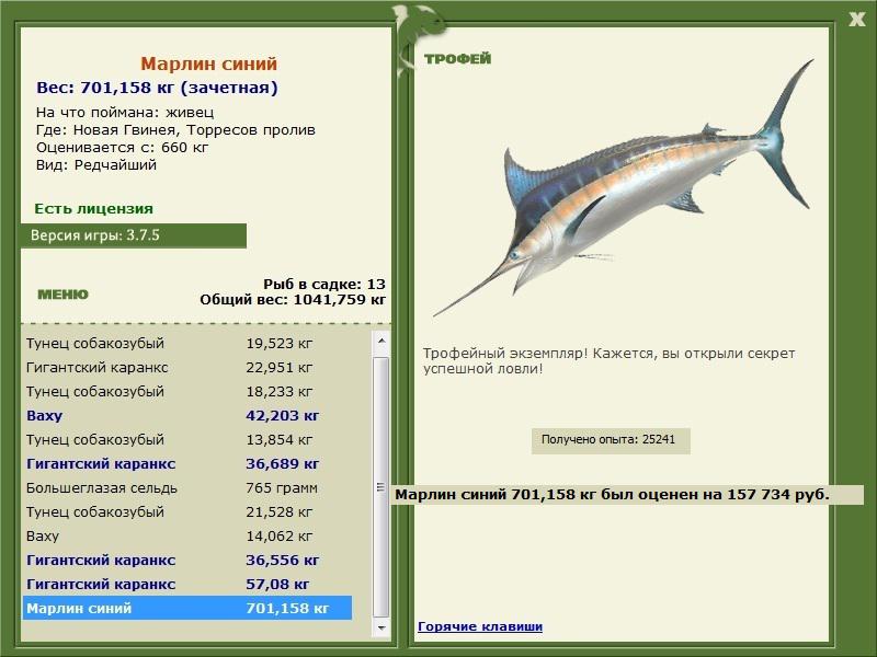 Марлин синий 